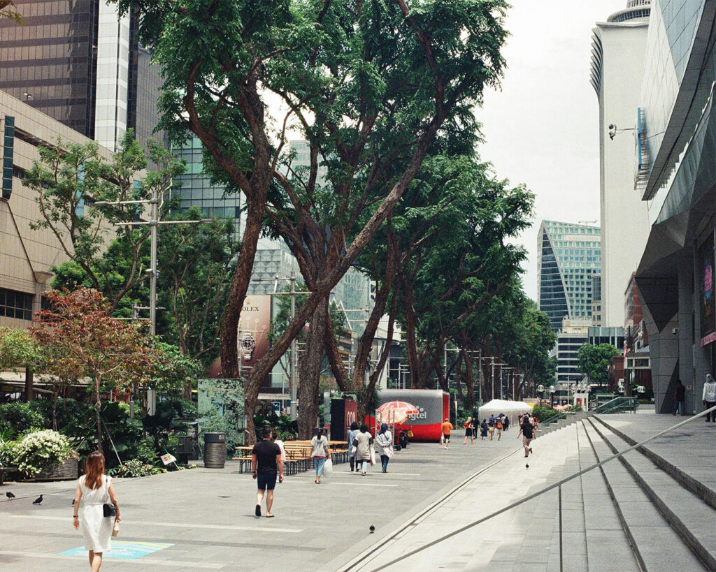 People walking along Orchard Road’s wide pedestrian walkway, surrounded by tall shopping malls, street trees, and colourful retail advertisements, creating a lively city atmosphere.