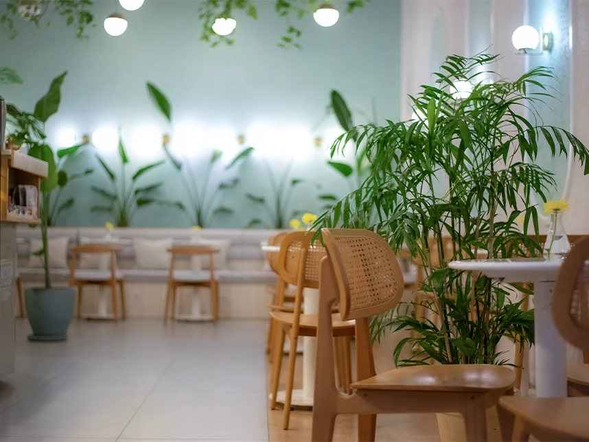 Modern cafe interior with lush green plants, sage green walls, and light wood mid-century chairs. Bright, airy restaurant design featuring globe pendant lighting and cozy banquet seating.